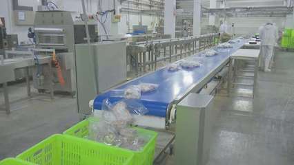 寧夏鹽池灘羊春節走俏市場，上海網絡技術助推品牌升級